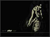 Vélo