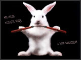Le lapinou